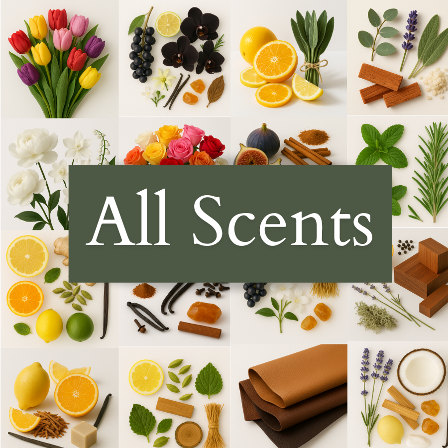 COMPLETE HOME FRAGRANCE SAMPLE PACK