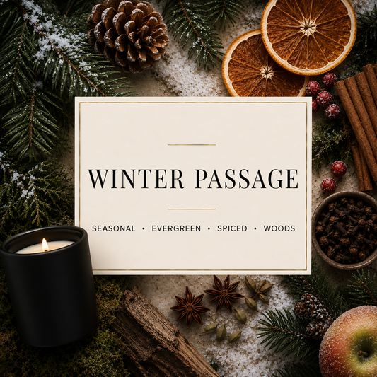 WINTER PASSAGE